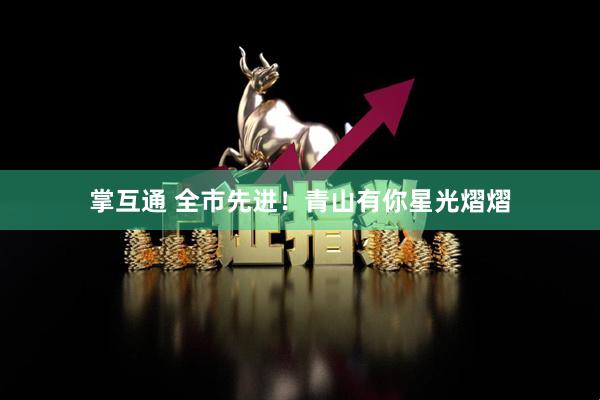 掌互通 全市先进！青山有你星光熠熠