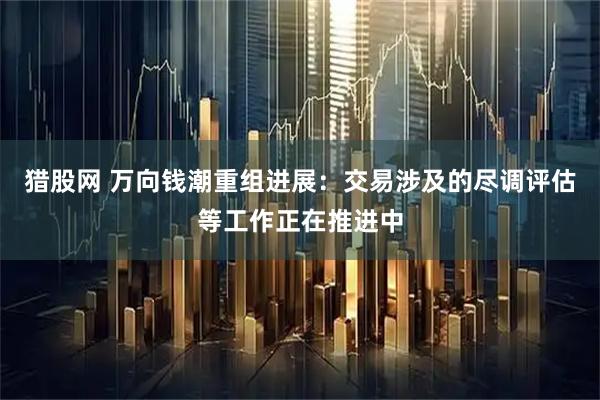 猎股网 万向钱潮重组进展：交易涉及的尽调评估等工作正在推进中