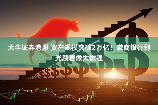 大牛证券港股 资产规模突破2万亿！徽商银行别光顾着做大做强