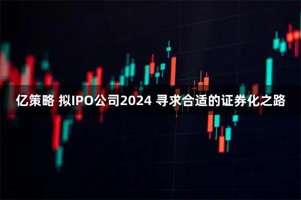 亿策略 拟IPO公司2024 寻求合适的证券化之路
