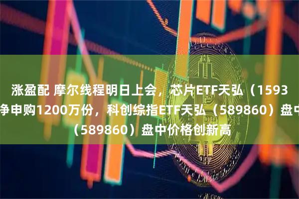 涨盈配 摩尔线程明日上会，芯片ETF天弘（159310）盘中获净申购1200万份，科创综指ETF天弘（589860）盘中价格创新高