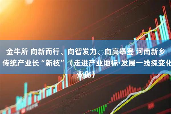金牛所 向新而行、向智发力、向高攀登 河南新乡：传统产业长“新枝”（走进产业地标·发展一线探变化）