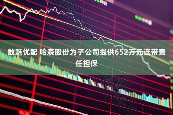 数魅优配 哈森股份为子公司提供652万元连带责任担保