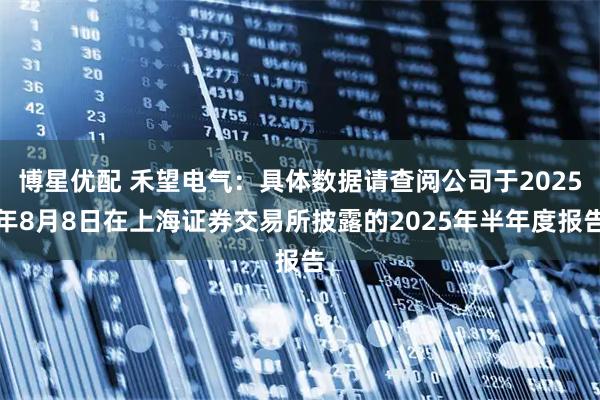 博星优配 禾望电气：具体数据请查阅公司于2025年8月8日在上海证券交易所披露的2025年半年度报告