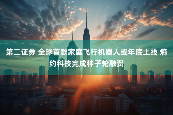 第二证券 全球首款家庭飞行机器人或年底上线 熵约科技完成种子轮融资